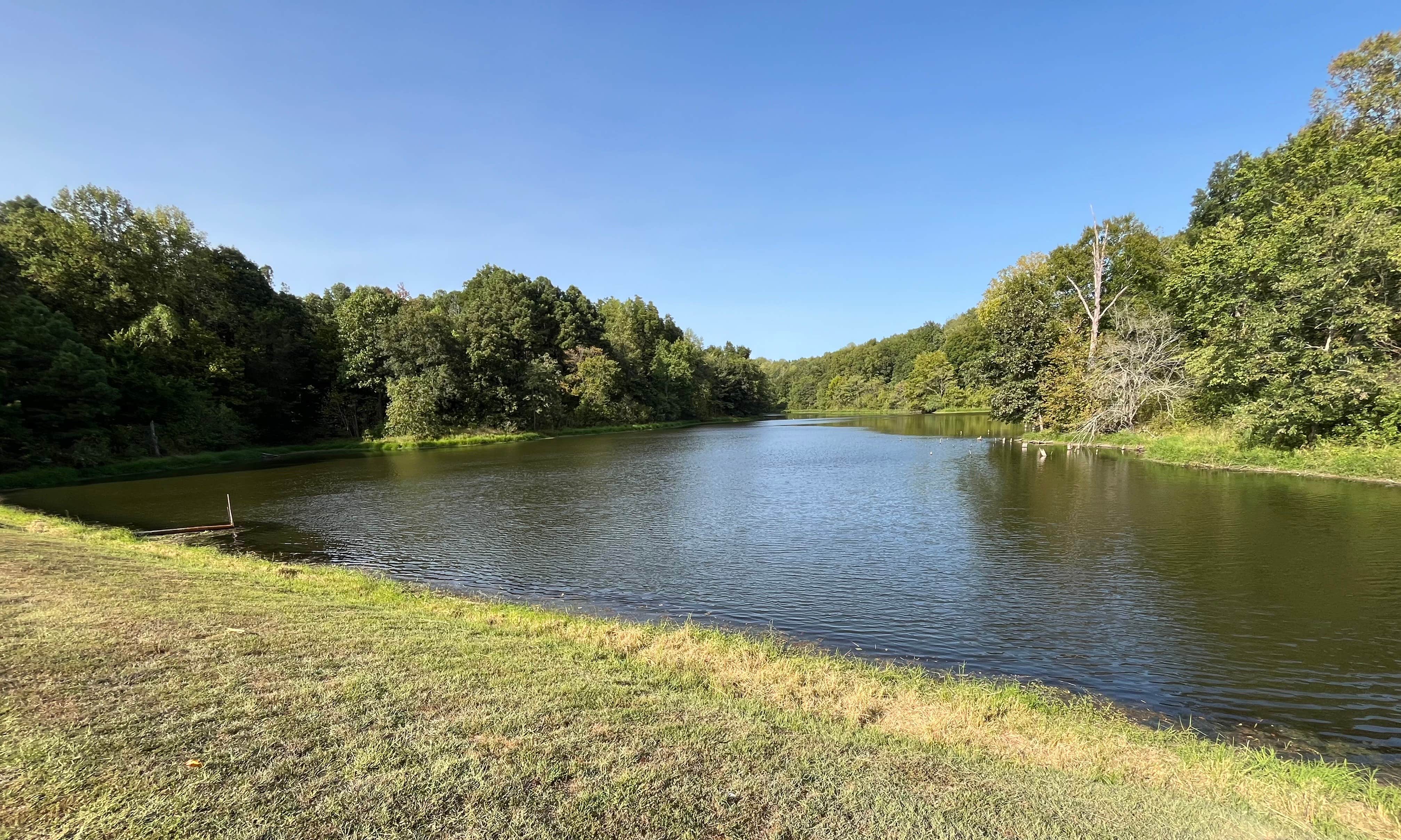 Camper-submitted photo at General Watkins Conservation Area near Dexter, MO
