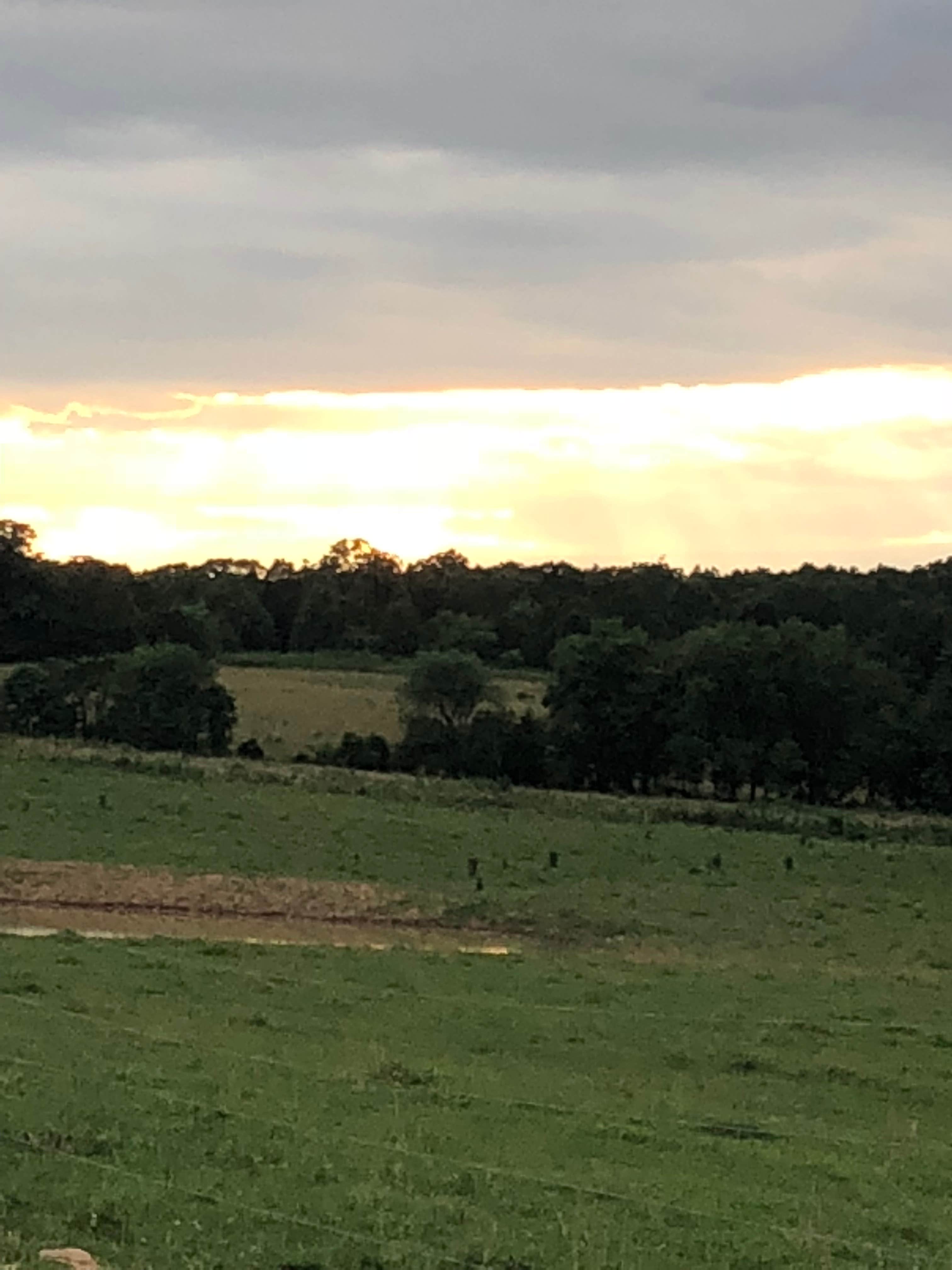 Turtle Trail overnight parking & campsites