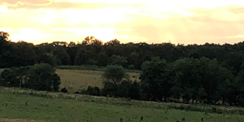 Camper submitted image from Turtle Trail overnight parking & campsites