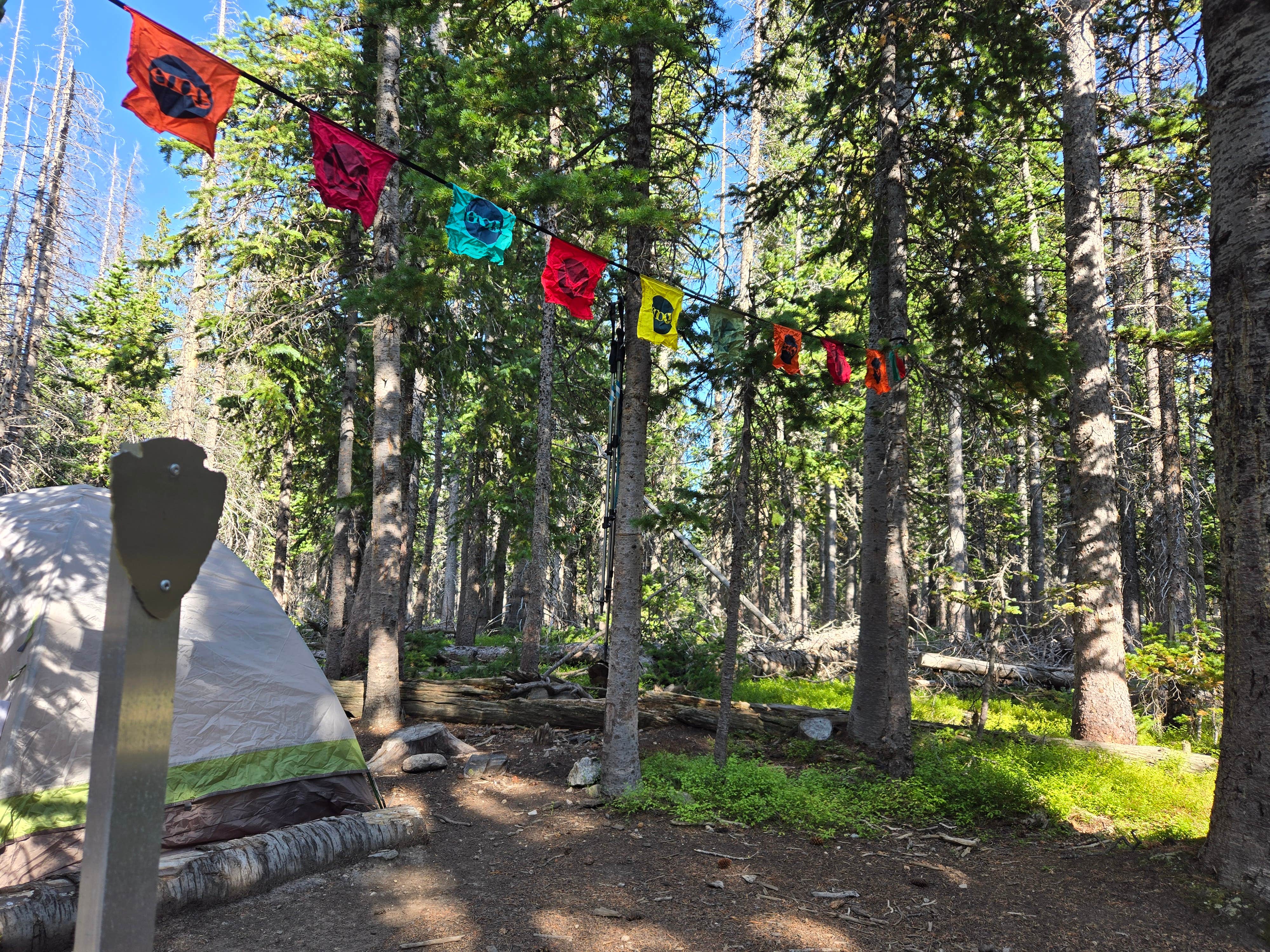 Heather  A.'s photo of tent camping at Upper Chipmunk Backcountry Campsite — Rocky Mountain National Park near Estes Park, CO