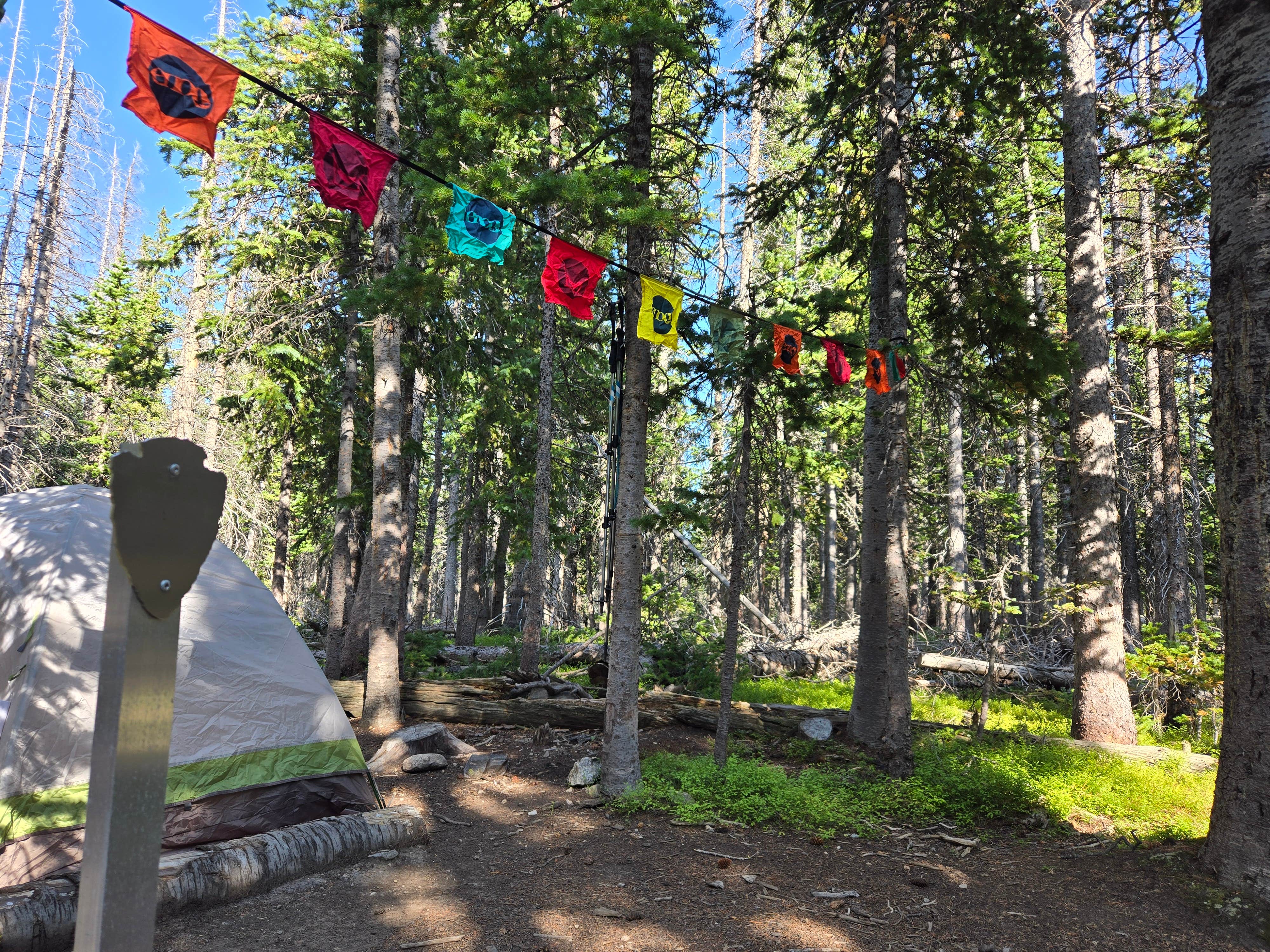 Camper submitted image from Upper Chipmunk Backcountry Campsite — Rocky Mountain National Park - 1