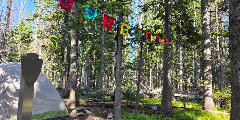 Camper submitted image from Upper Chipmunk Backcountry Campsite — Rocky Mountain National Park