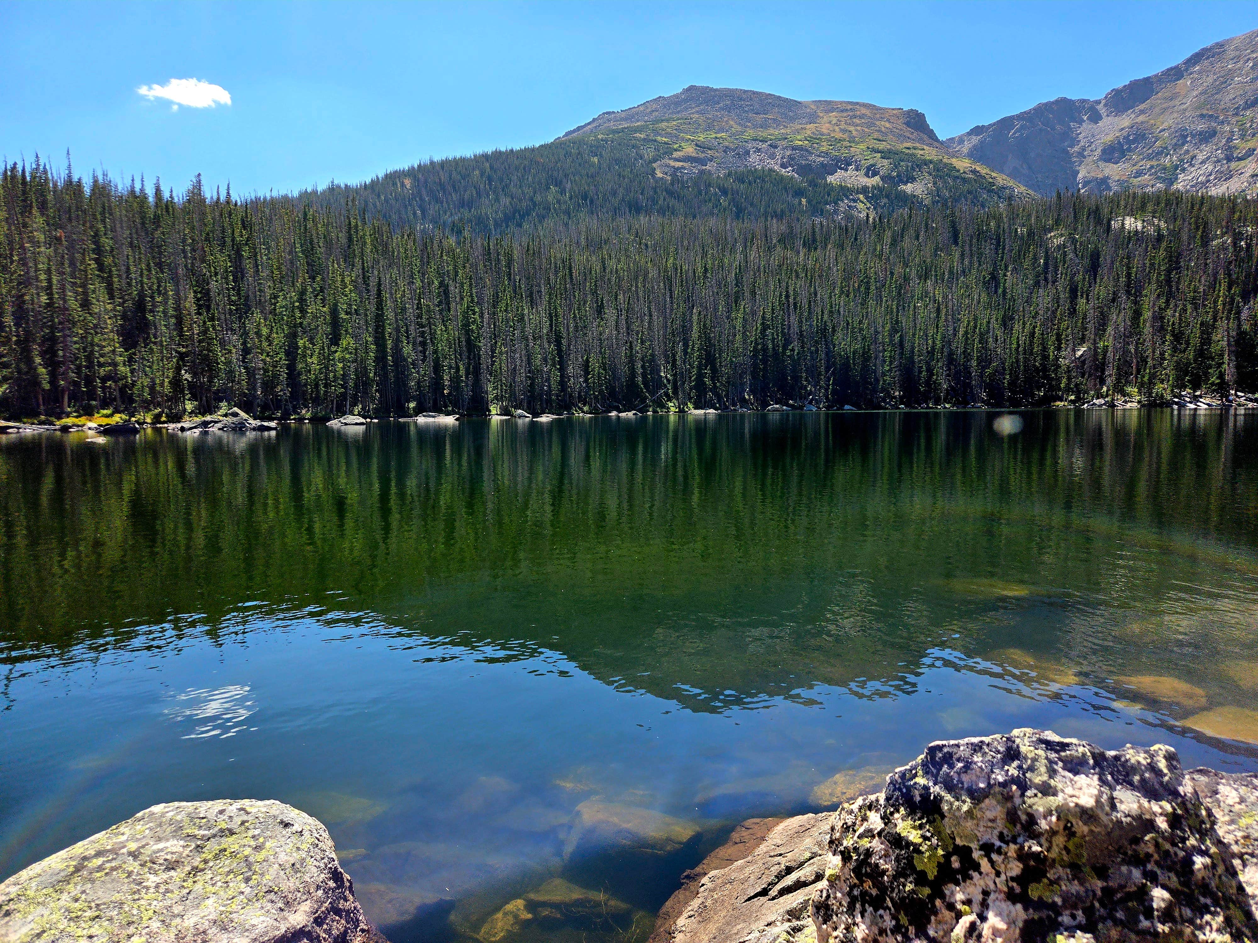 Camper submitted image from Upper Chipmunk Backcountry Campsite — Rocky Mountain National Park - 4