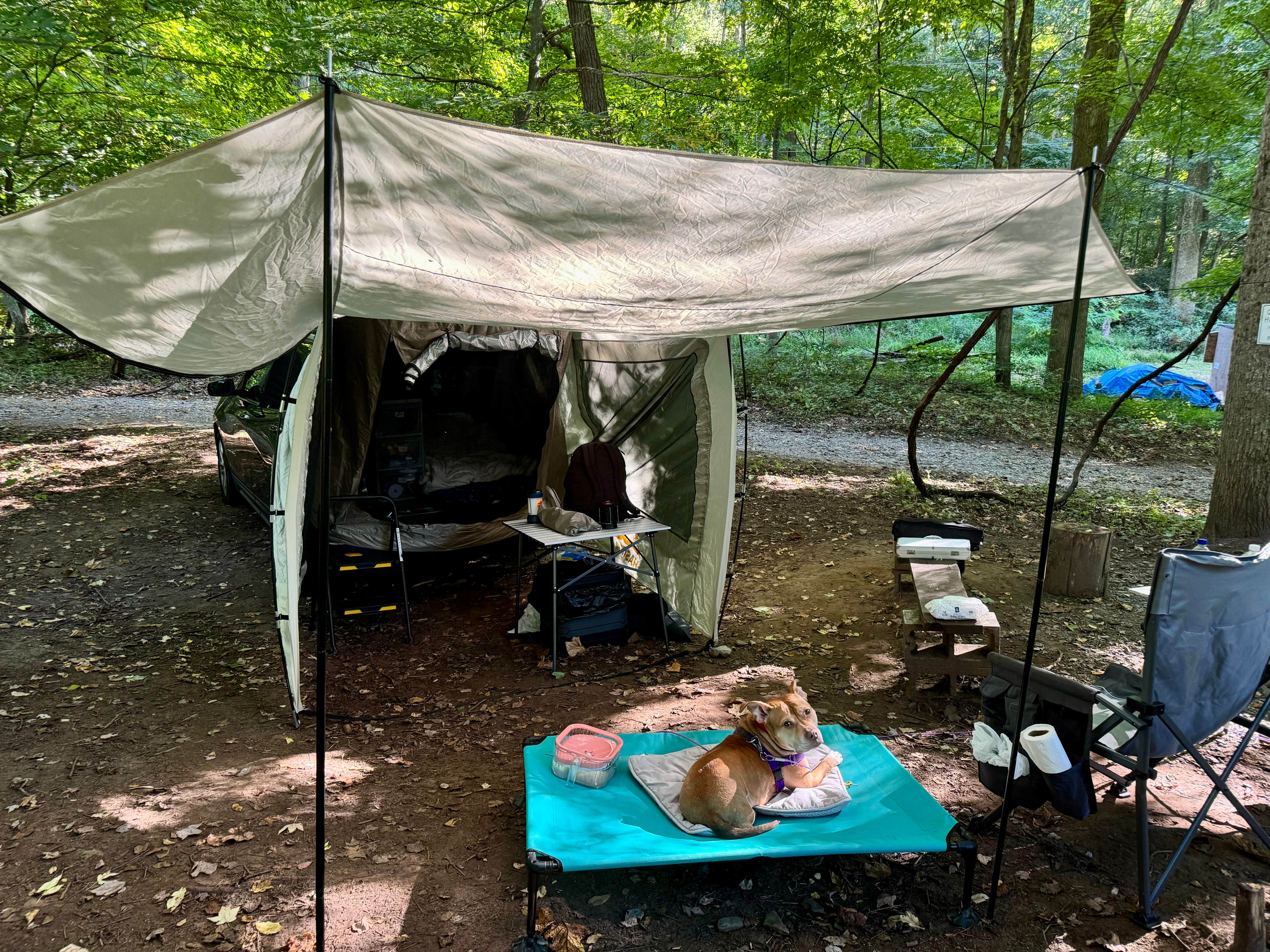 Tiel M.'s photo of camping with pets at Brooklyn Heights Riverfront Campground near Volga, WV