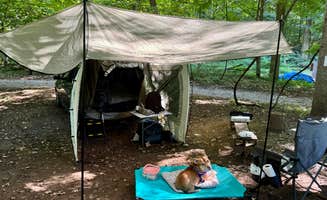 Tiel M.'s photo of camping with pets at Brooklyn Heights Riverfront Campground near Volga, WV