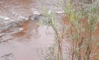 AC L.'s photo of camping with pets at Vista Linda Campground — Santa Fe National Forest near Albuquerque, NM