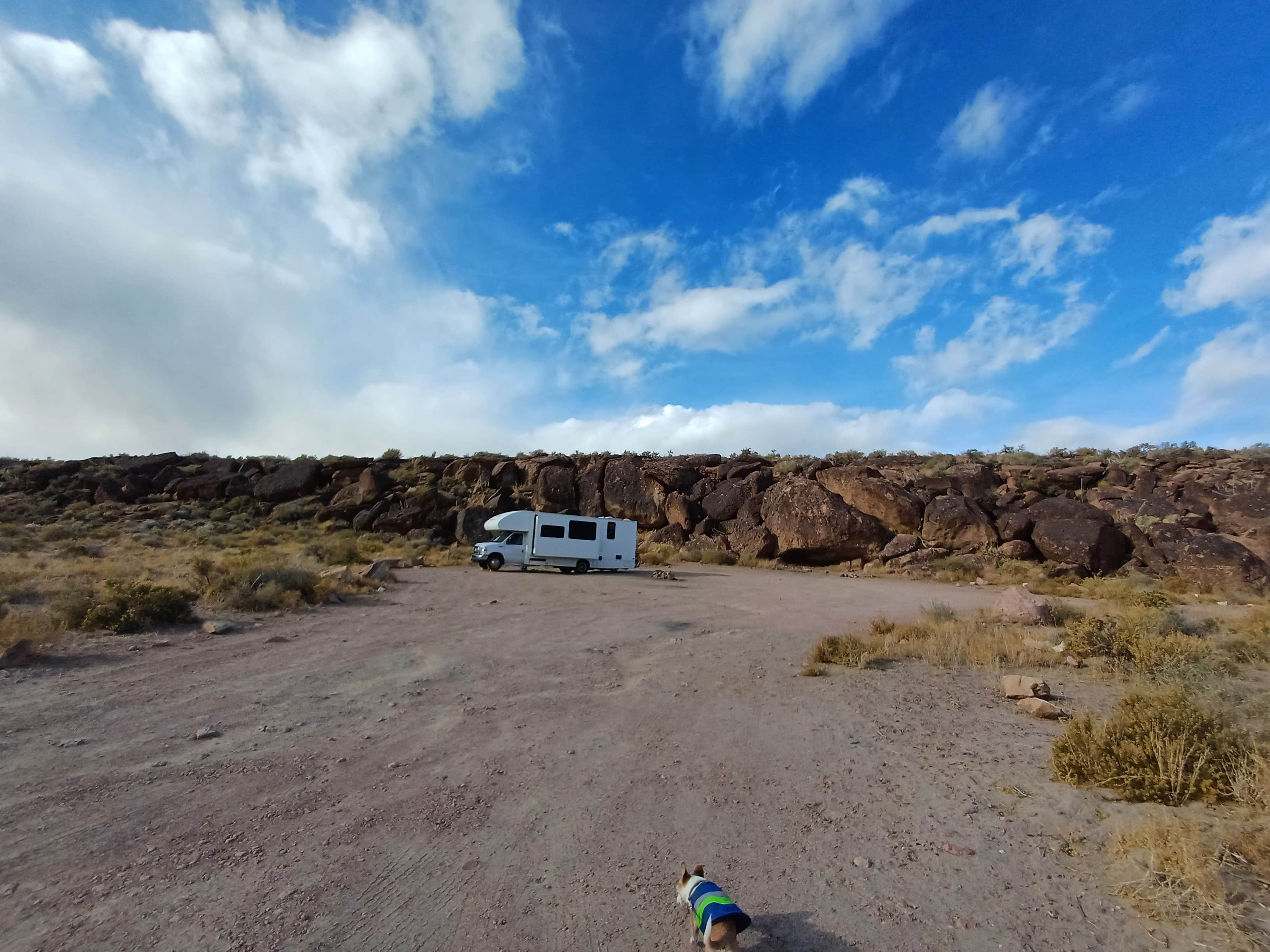 Laura M.'s photo of camping with pets at Volcanic Tableland BLM Dispersed Camping near Tahoe National Forest