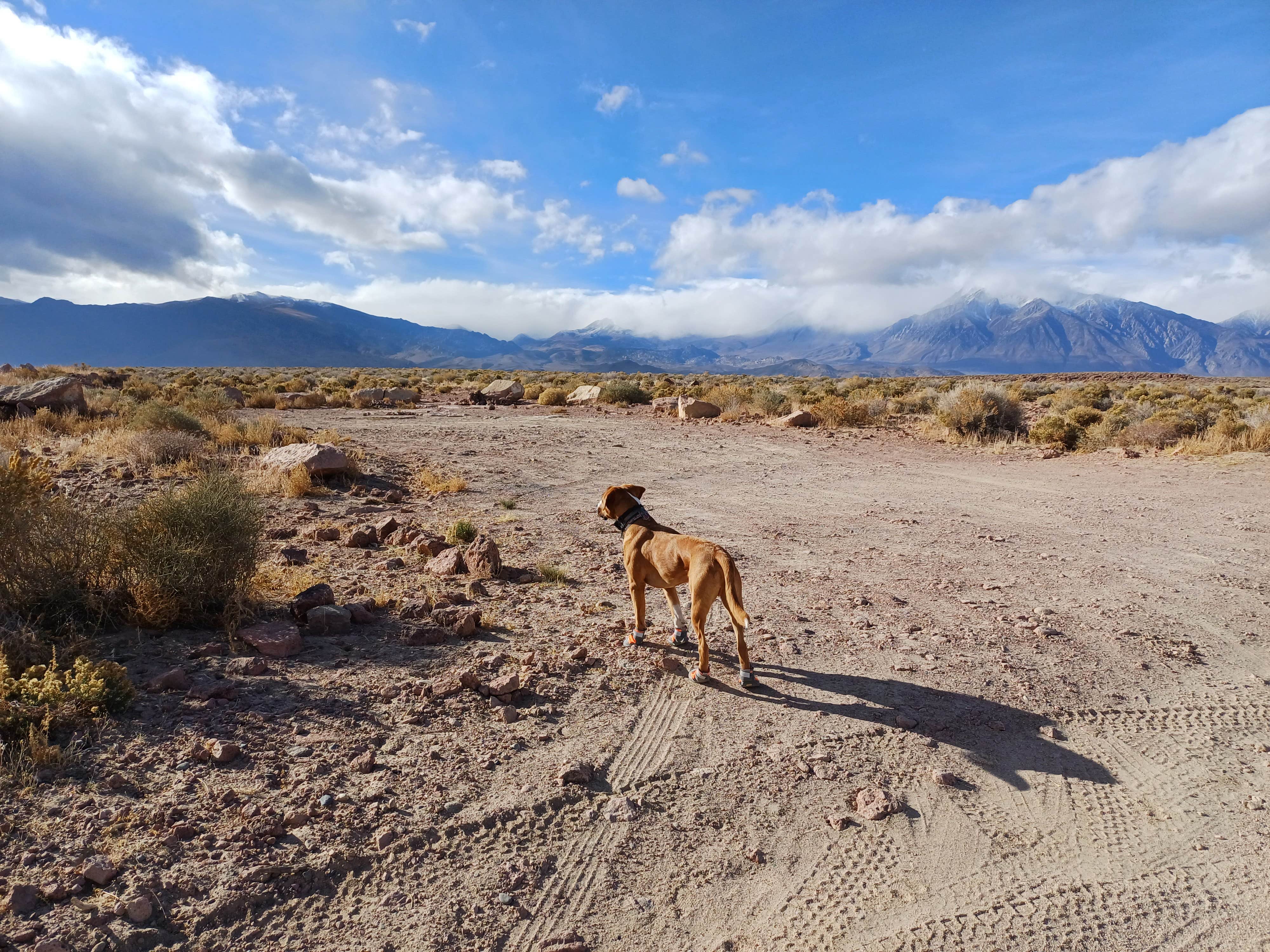 Camper-submitted photo at Volcanic Tableland BLM Dispersed Camping near Toms Place, CA
