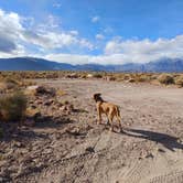 Review photo of Volcanic Tableland BLM Dispersed Camping by Laura M., September 14, 2024