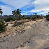 Review photo of Black Rock Campground — Joshua Tree National Park by Laura M., September 14, 2024