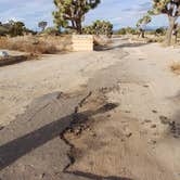 Review photo of Black Rock Campground — Joshua Tree National Park by Laura M., September 14, 2024