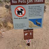 Review photo of Black Rock Campground — Joshua Tree National Park by Laura M., September 14, 2024