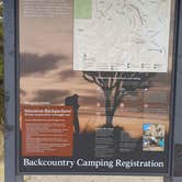 Review photo of Black Rock Campground — Joshua Tree National Park by Laura M., September 14, 2024