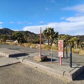 Review photo of Black Rock Campground — Joshua Tree National Park by Laura M., September 14, 2024