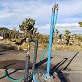 Review photo of Black Rock Campground — Joshua Tree National Park by Laura M., September 14, 2024