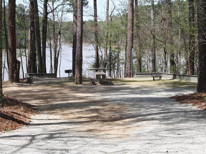 Camper submitted image from Hawe Creek - J Strom Thurmond Lake - 1