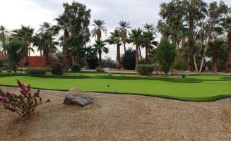 Laura M.'s photo of camping with pets at Coachella Lakes RV Resort near Joshua Tree National Park