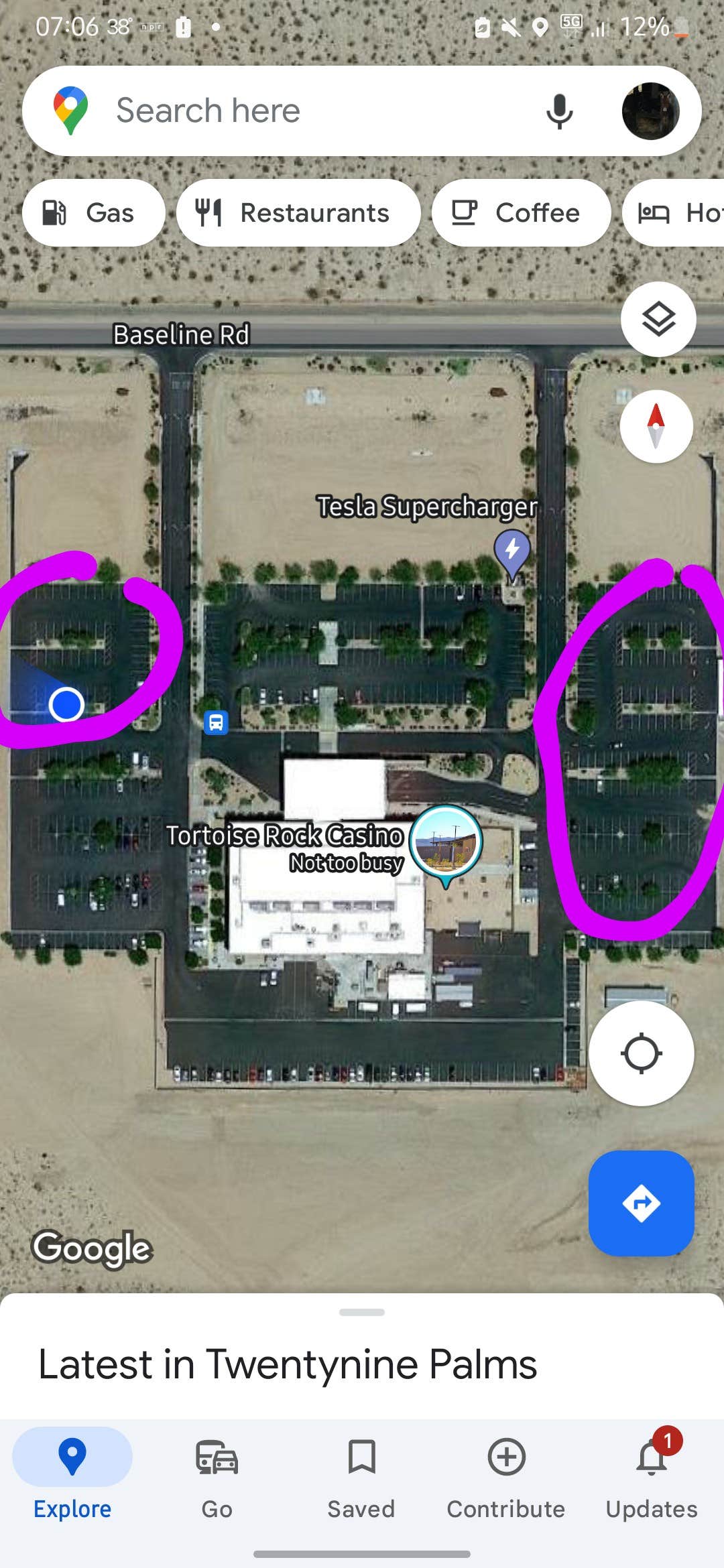 Tortoise Rock Casino
