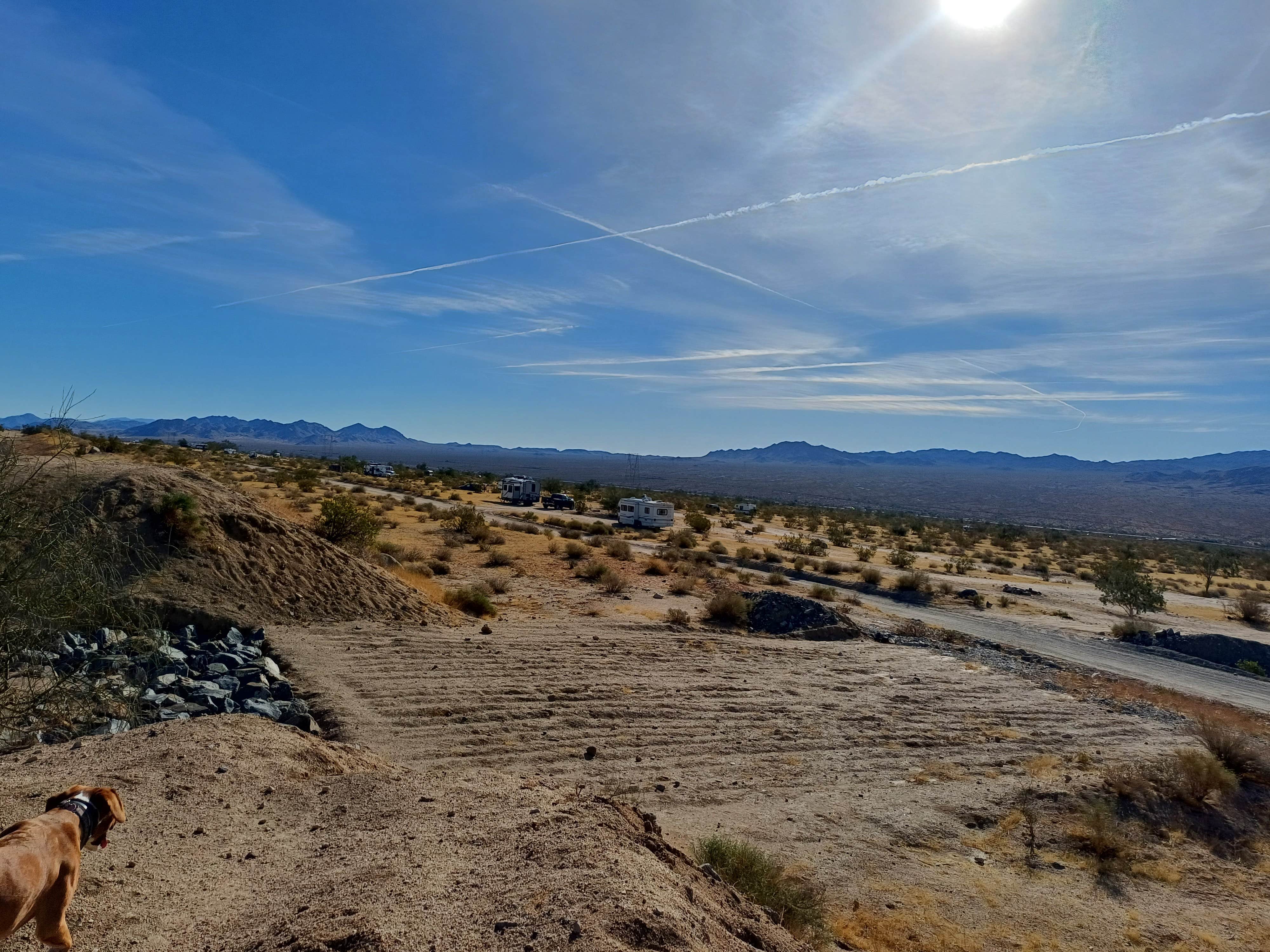 Laura M.'s photo of a dispersed camping area at Joshua Tree South - BLM Dispersed near Ocotillo Wells, CA