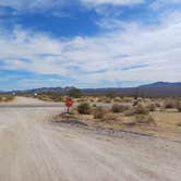 Review photo of Joshua Tree South - BLM Dispersed by Laura M., September 14, 2024