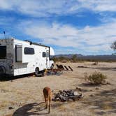 Review photo of Joshua Tree South - BLM Dispersed by Laura M., September 14, 2024