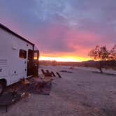 Review photo of Joshua Tree South - BLM Dispersed by Laura M., September 14, 2024