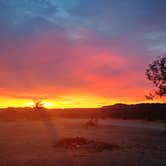 Review photo of Joshua Tree South - BLM Dispersed by Laura M., September 14, 2024