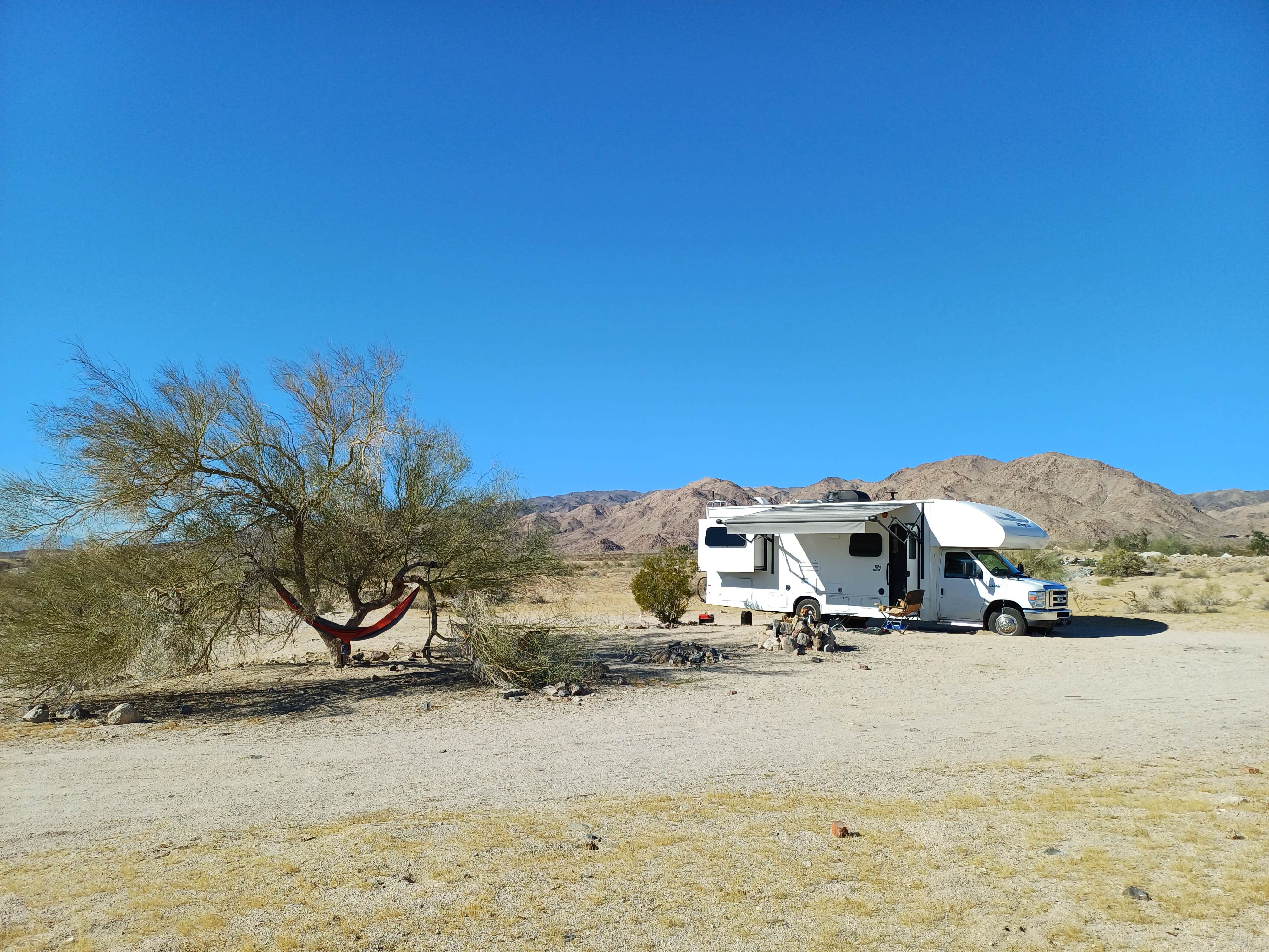 Laura M.'s photo at Joshua Tree South - BLM Dispersed near Mecca, CA