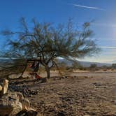 Review photo of Joshua Tree South - BLM Dispersed by Laura M., September 14, 2024