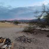 Review photo of Joshua Tree South - BLM Dispersed by Laura M., September 14, 2024