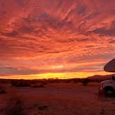 Review photo of Joshua Tree South - BLM Dispersed by Laura M., September 14, 2024