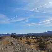 Review photo of Joshua Tree South - BLM Dispersed by Laura M., September 14, 2024