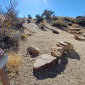 Review photo of Jumbo Rocks Campground — Joshua Tree National Park by Laura M., September 14, 2024