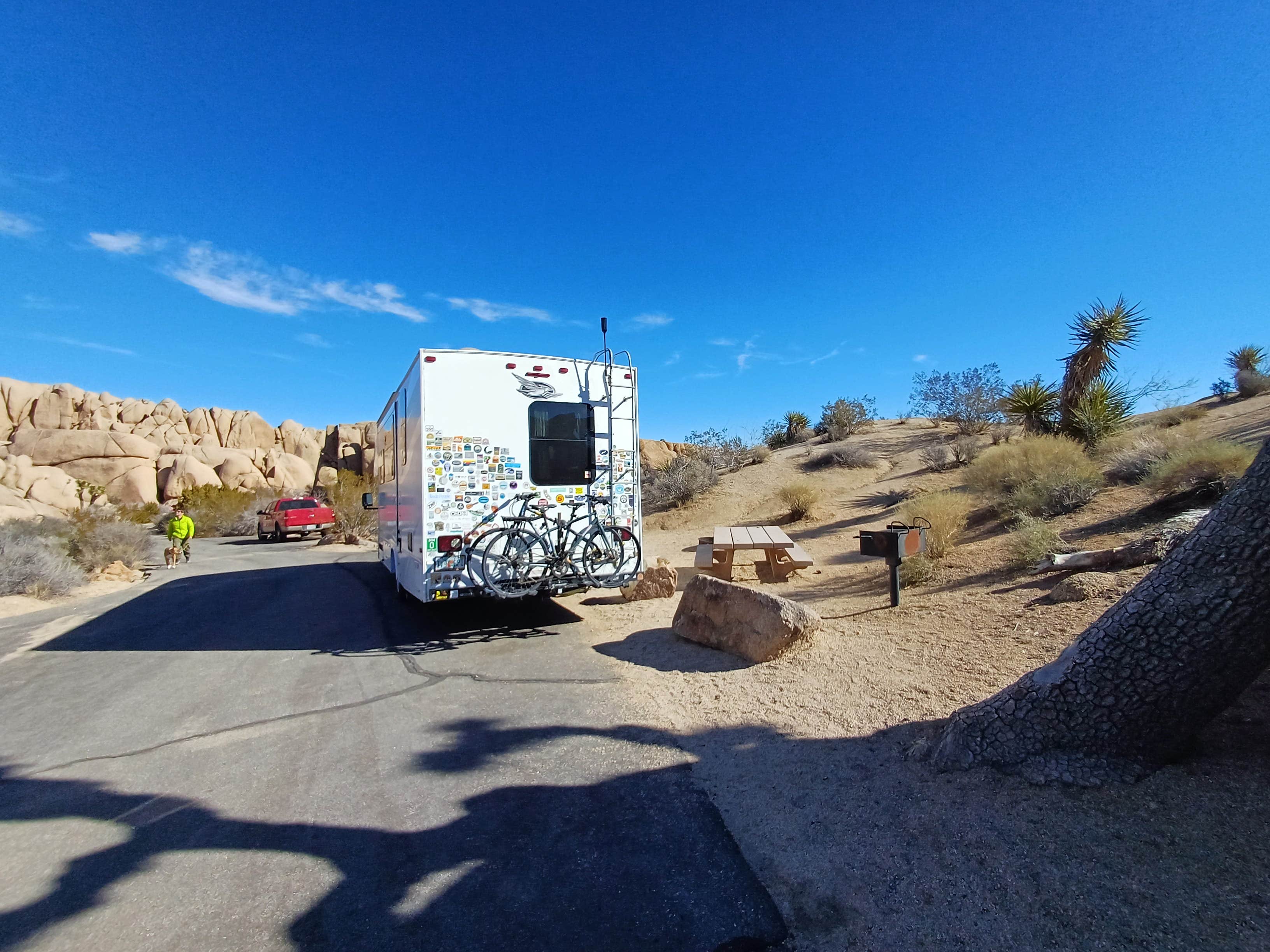 Laura M.'s photo of camping with pets at Jumbo Rocks Campground — Joshua Tree National Park in California