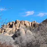 Review photo of Jumbo Rocks Campground — Joshua Tree National Park by Laura M., September 14, 2024