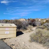 Review photo of Jumbo Rocks Campground — Joshua Tree National Park by Laura M., September 14, 2024