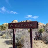 Review photo of Jumbo Rocks Campground — Joshua Tree National Park by Laura M., September 14, 2024