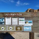 Review photo of Jumbo Rocks Campground — Joshua Tree National Park by Laura M., September 14, 2024