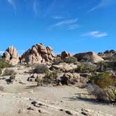 Review photo of Jumbo Rocks Campground — Joshua Tree National Park by Laura M., September 14, 2024