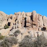 Review photo of Jumbo Rocks Campground — Joshua Tree National Park by Laura M., September 14, 2024