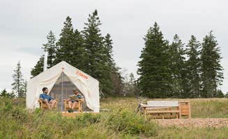 The Dyrt's photo at Turner Farm near Owls Head, ME