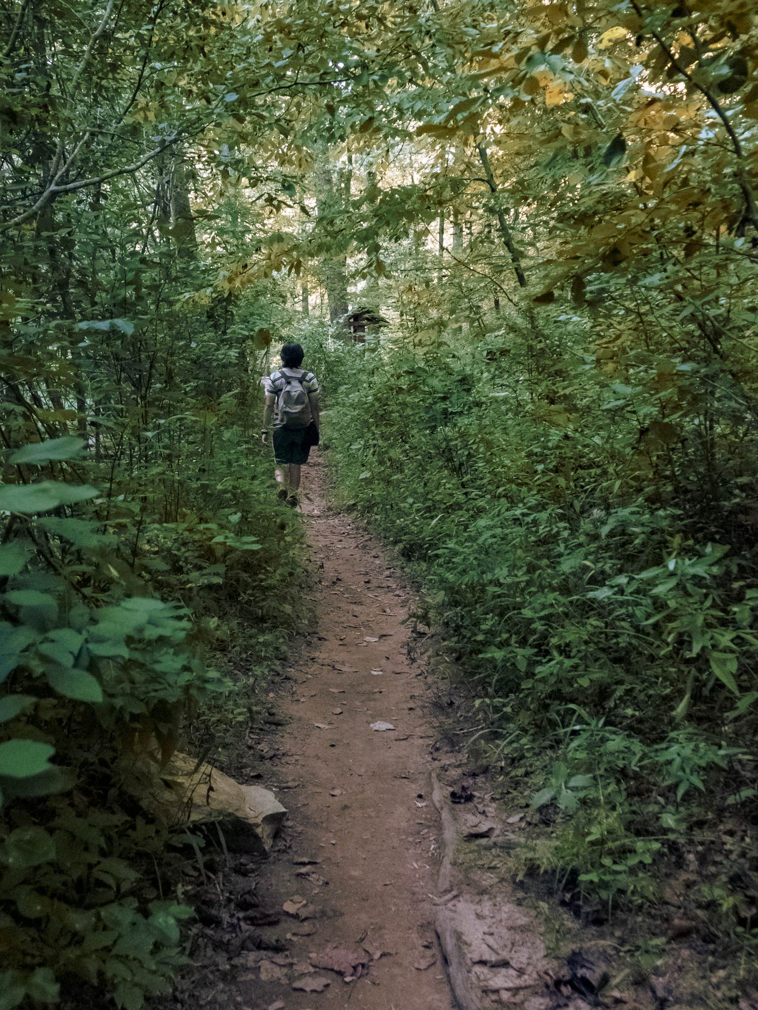 Camper-submitted photo at Timberline Glamping Cheaha near Anniston, AL