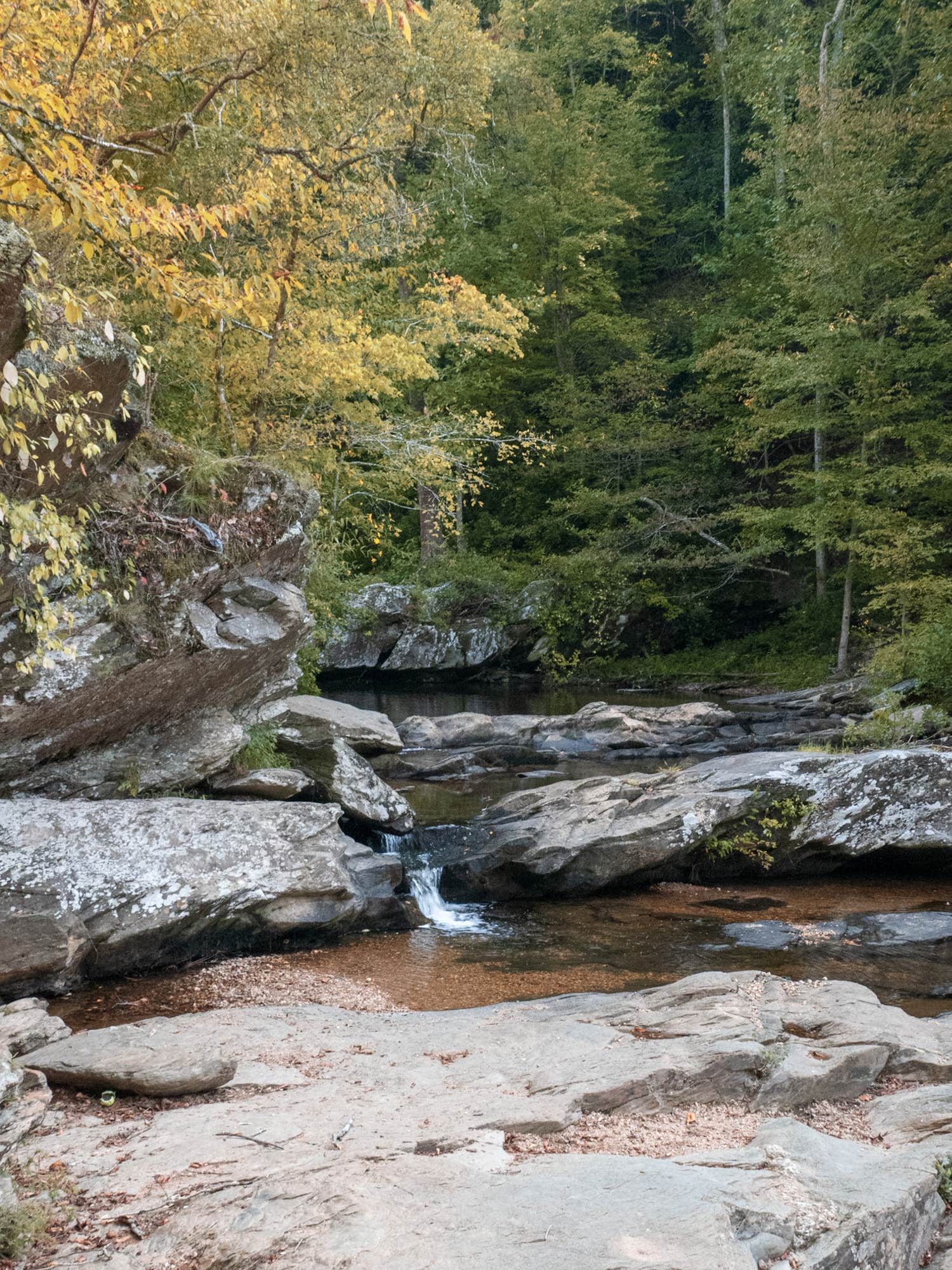 Camper-submitted photo at Timberline Glamping Cheaha near Anniston, AL