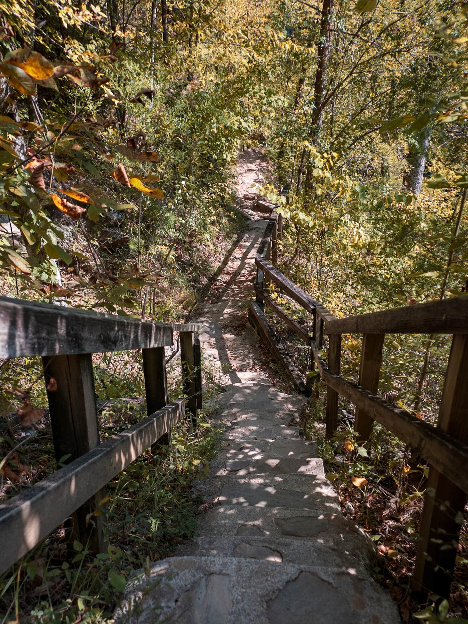 Camper-submitted photo at Timberline Glamping Cheaha near Anniston, AL