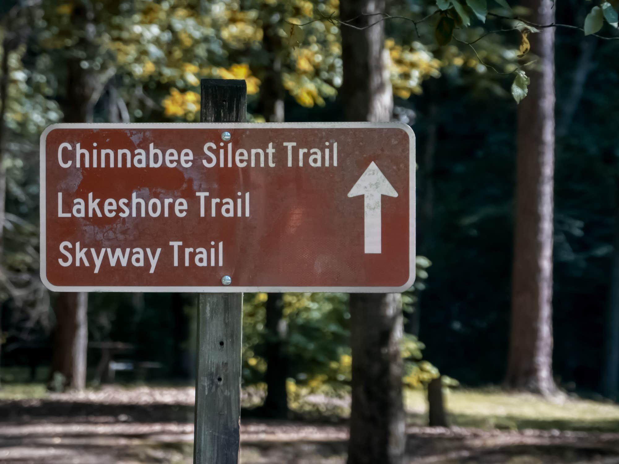 Camper-submitted photo at Timberline Glamping Cheaha near Anniston, AL