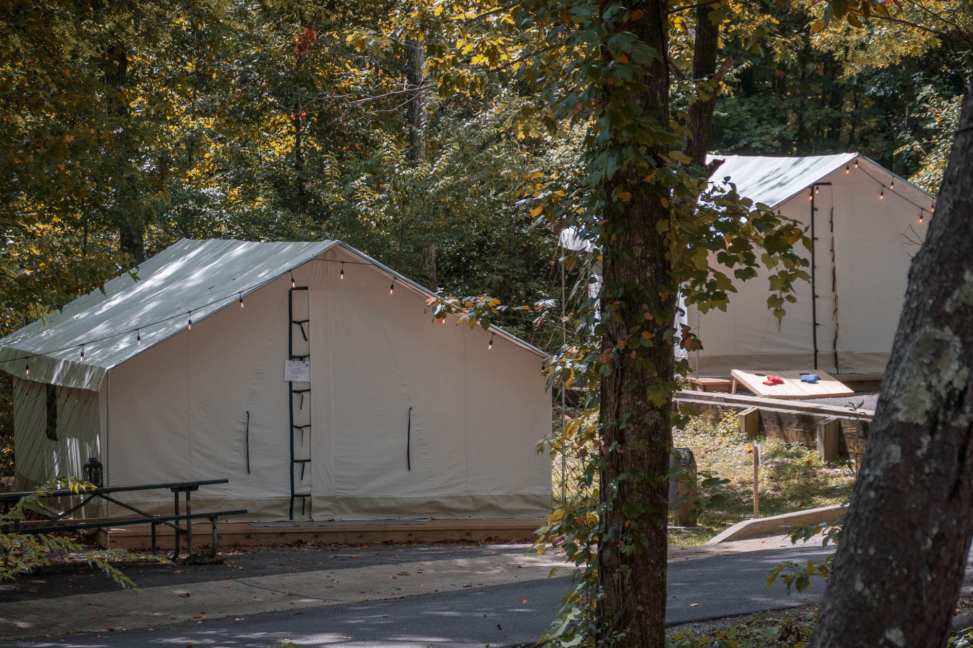 The Dyrt's photo at Timberline Glamping Cheaha near Weaver, AL
