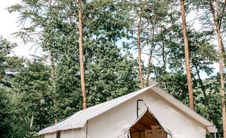 The Dyrt's photo at Timberline Glamping Cheaha near Jacksonville, AL