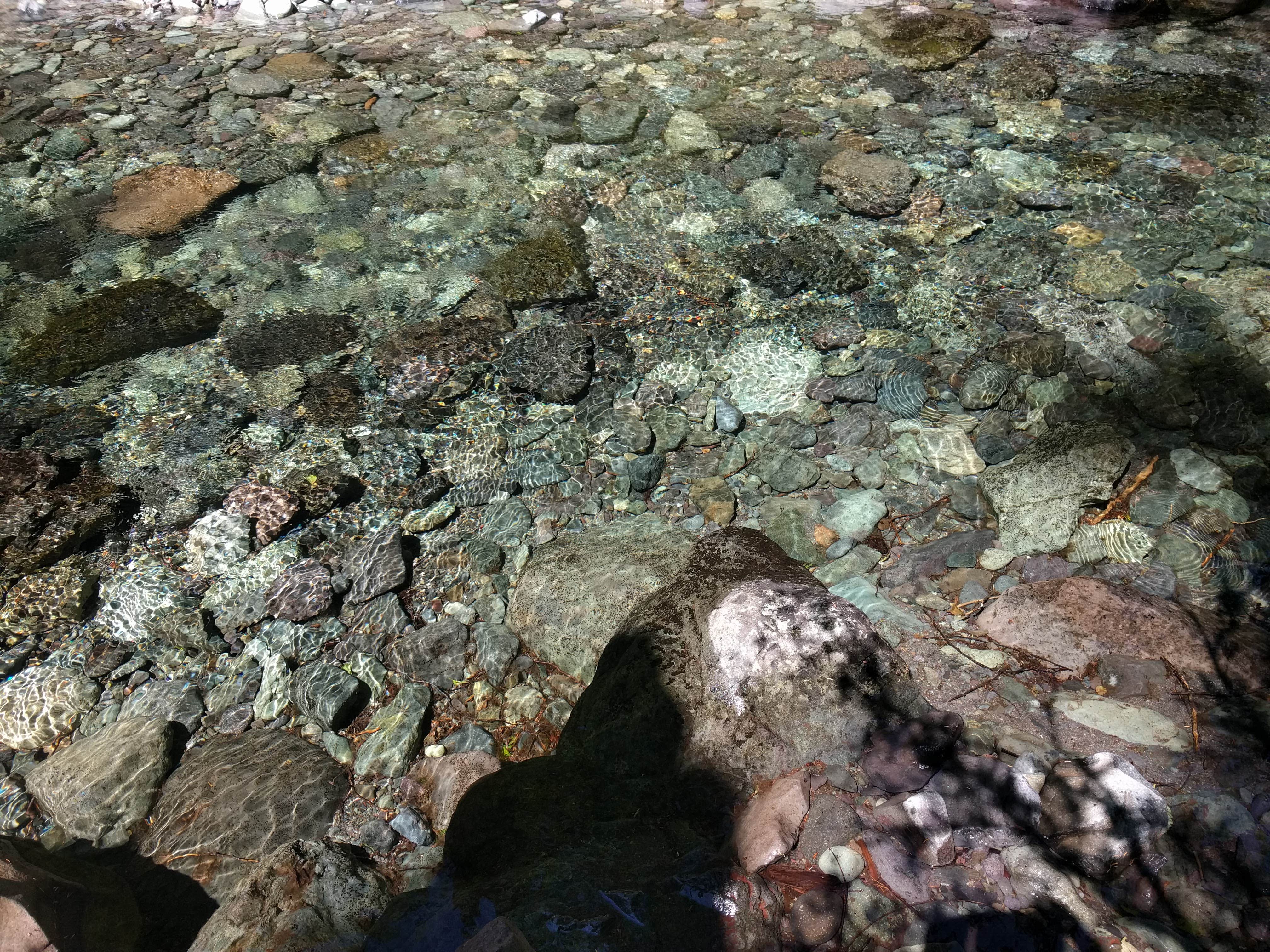 Camper-submitted photo at Opal Pool Campsites near Gates, OR