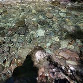 Review photo of Opal Pool Campsites by Ana T., September 15, 2016