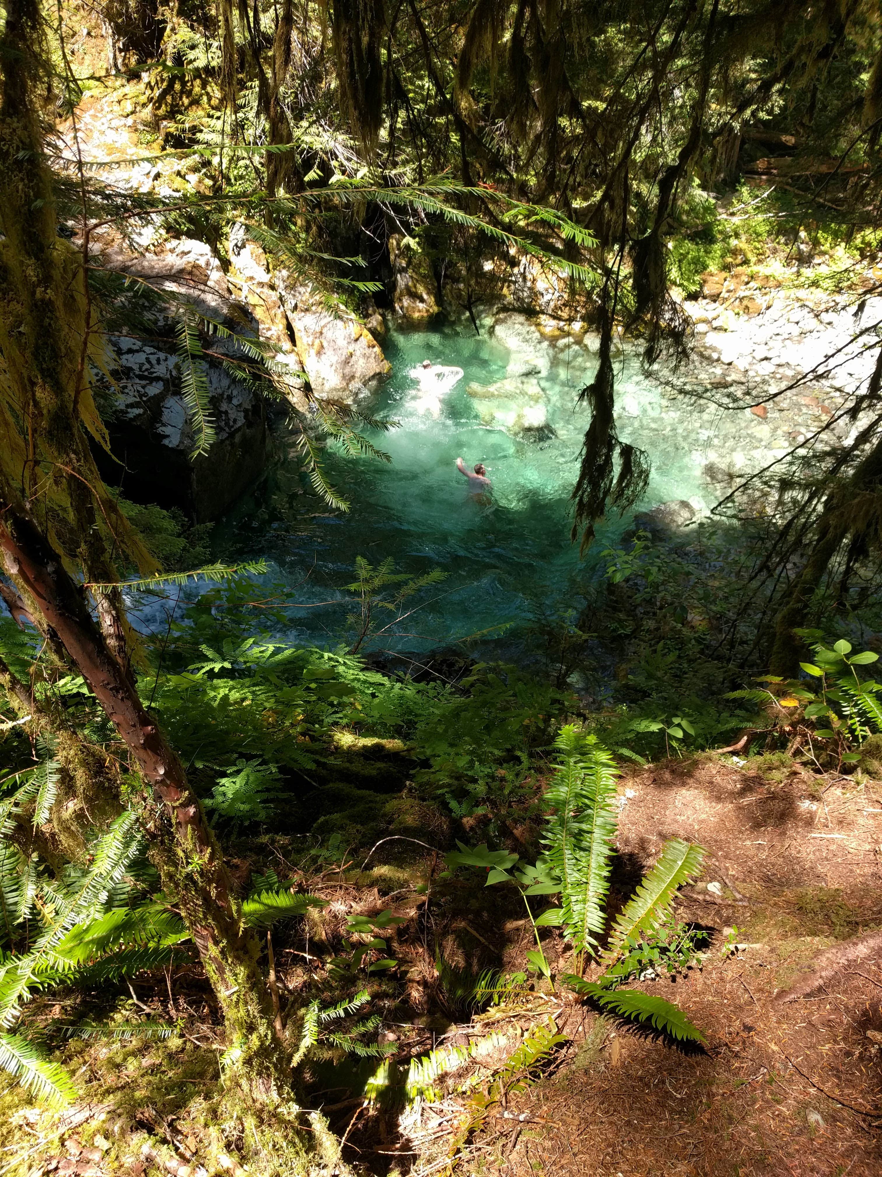 Camper submitted image from Opal Pool Campsites - 1